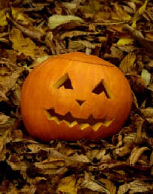Pumpkin in leaves at Old Sarum
