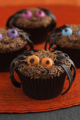 Spider cupcakes_1