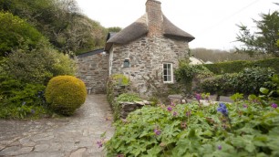 Sea Thatch Cottage & Garden 