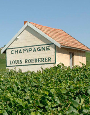 Louis Roederer champagne dinner at Axis One Aldwych