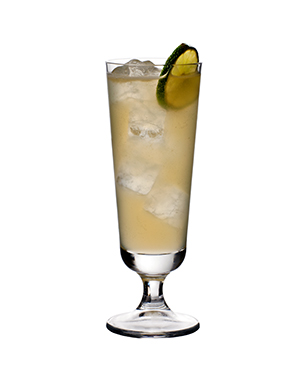 Tanqueray Gin Rickey