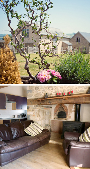 the cranberries hideaways exterior shot and inside the dairy 