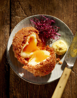 Scotch Egg