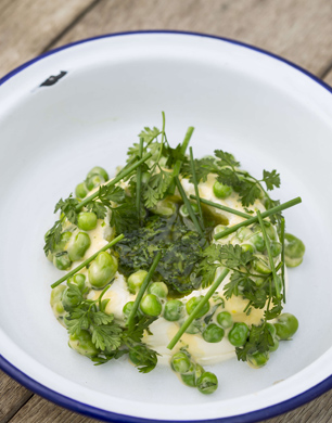 post-tom_aikens_-_ricotta_peas_and_beans_4_low-res