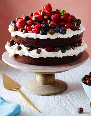 Chocolate Mcvitie S Digestives Nibbles Summer Fruit Gateaux Stylenest