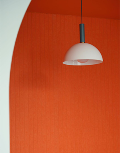 Which paint colours will be trendy in 2024? StyleNest